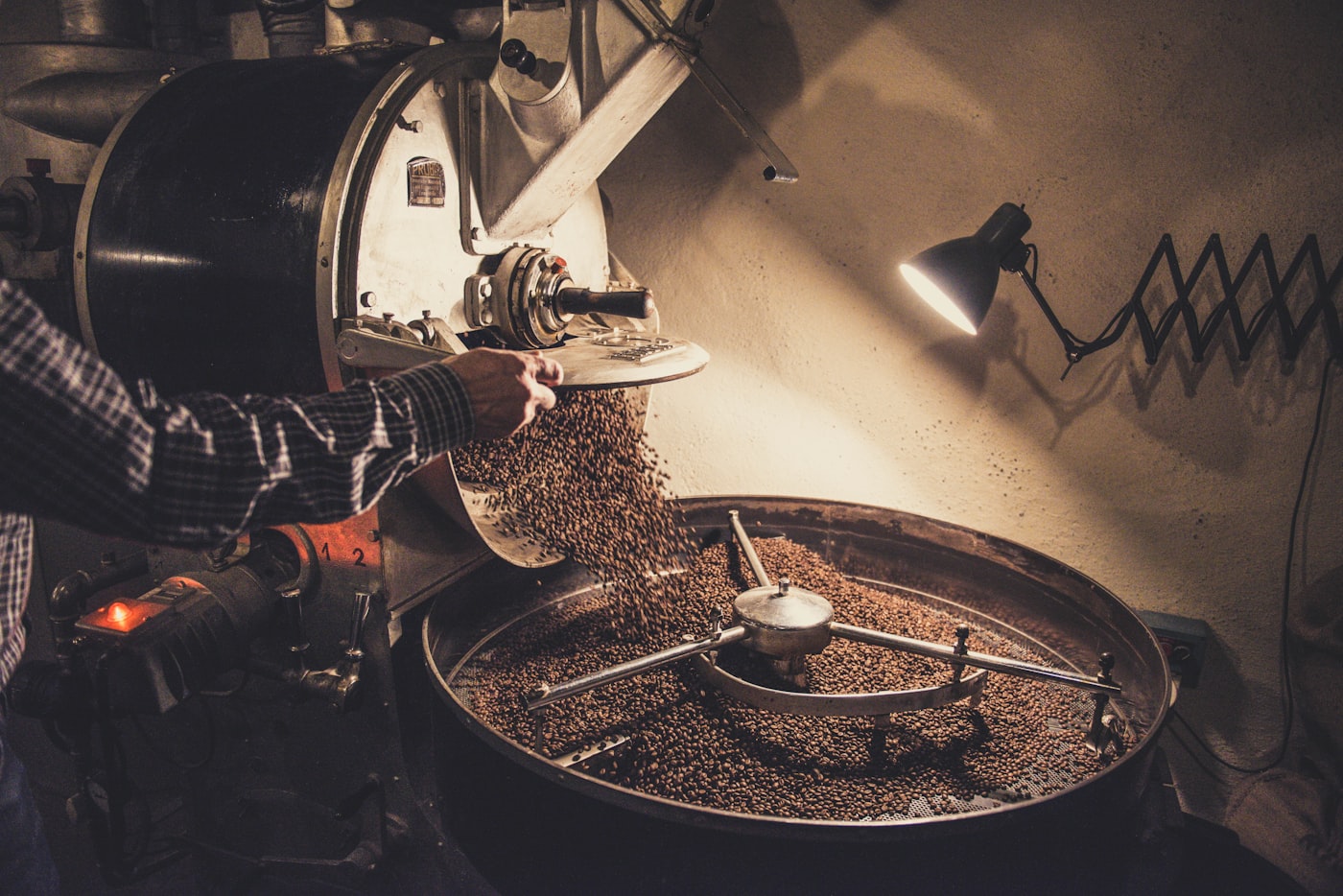 Beans pouring from the drum roaster into the cooling tray at Basalt Coffee Roasters